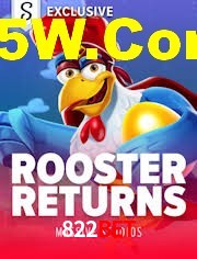 Crash Games Statistics 822bet